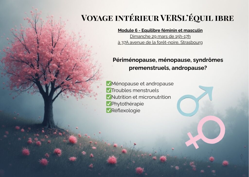 Arbre en automne un peu comme la ménopause pour les femmes