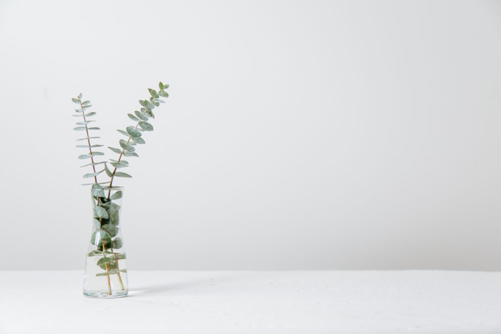 Des plantes dans un vase d'eau avec un fond claire