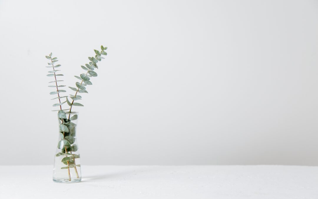 Jeûne hydrique et soins naturels: un reset complet
