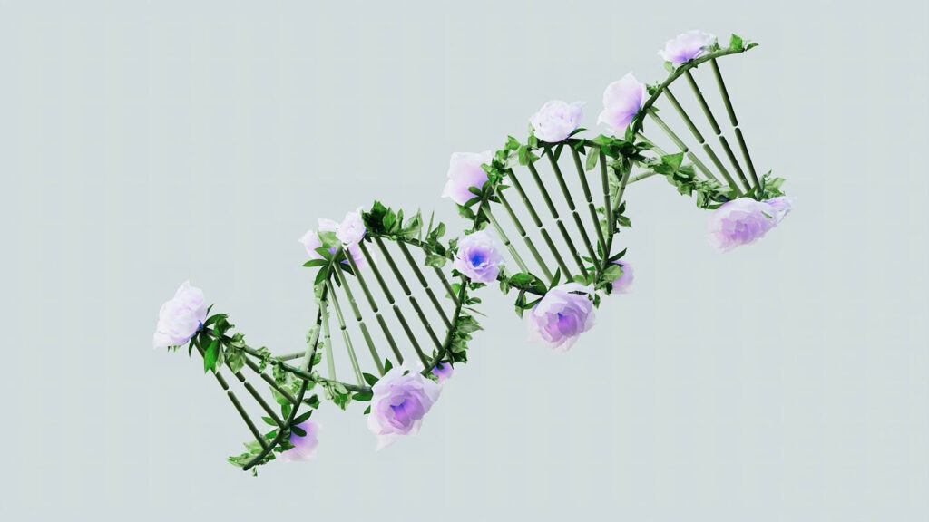 decodage biologique